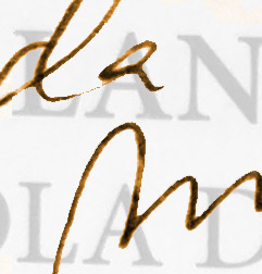 Logo del Trujamán